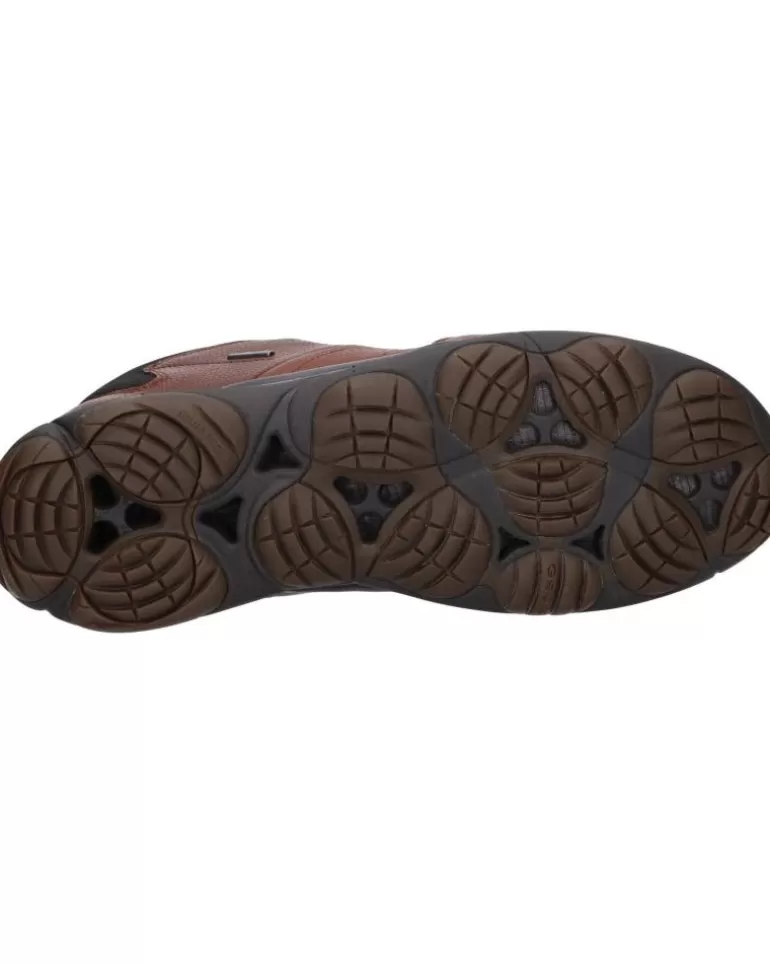 GEOX Zapatos De Hombre Y Niño U742Va 046Fe U Nebula C6003 Browncotto Online